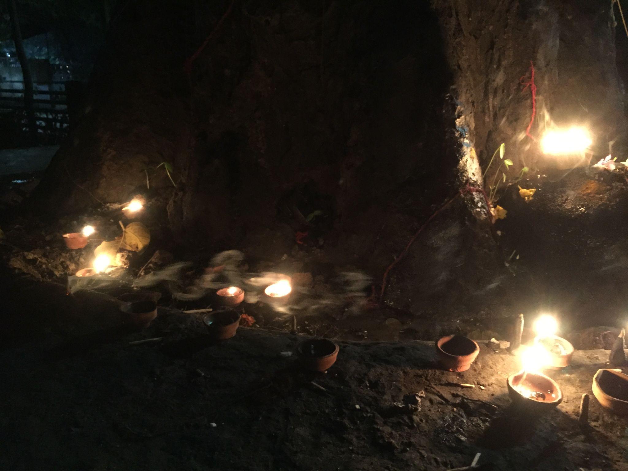 पीपल के पेड़ की रहस्यमयी कहानी हिंदी में | धार्मिक महत्व और मान्यता